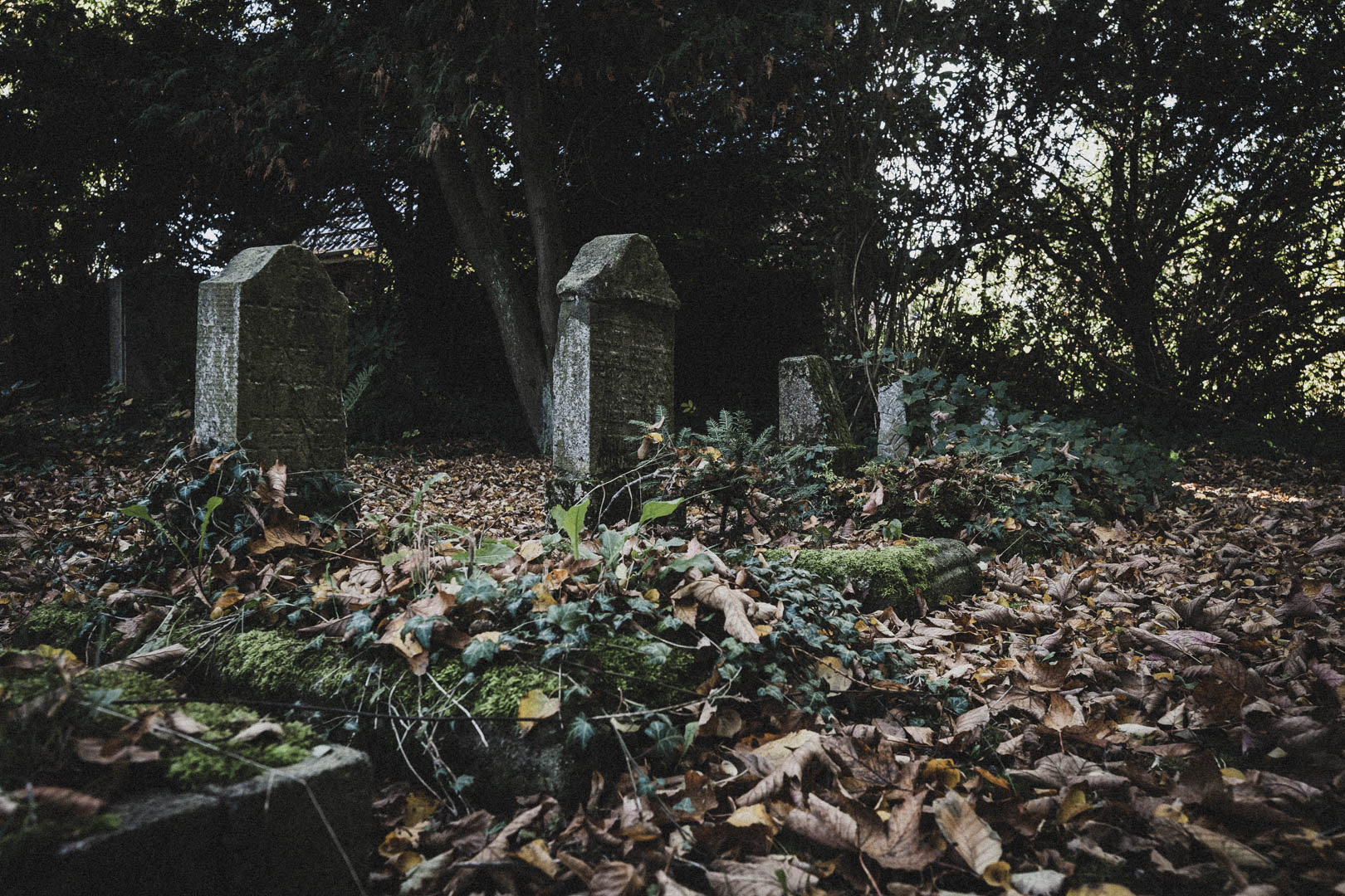 Schortens-Heidmühle, Jüdischer Friedhof